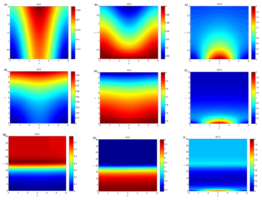 A Microbial Continuous Culture System With Diffusion And Diversified Growth