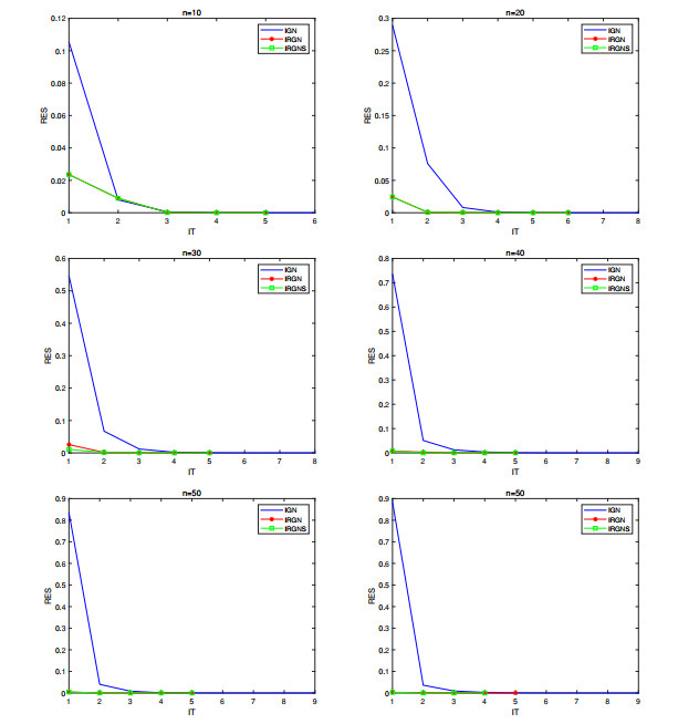 THE NEWTON-TYPE SPLITTING ITERATIVE METHOD FOR A CLASS OF COUPLED ...